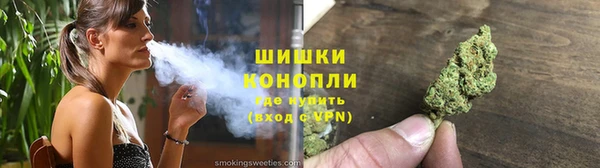 шишки Осинники