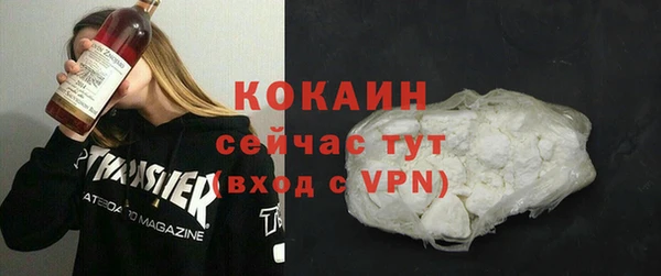 шишки Осинники