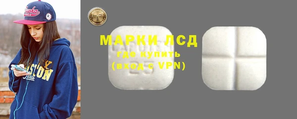 шишки Осинники