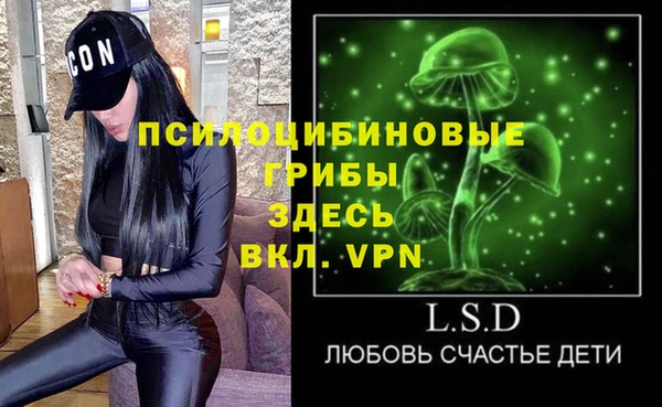 шишки Осинники