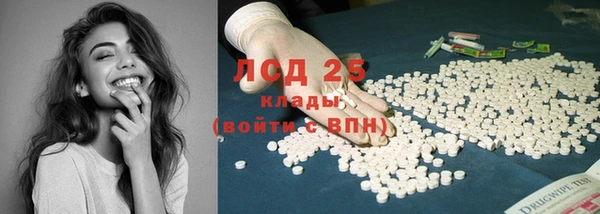 шишки Осинники