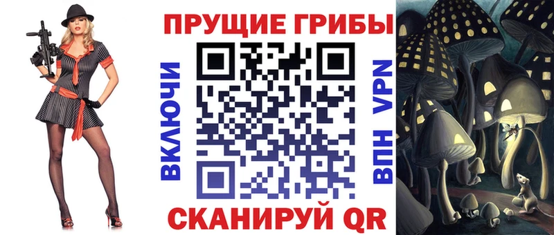 мега рабочий сайт  Власиха  Псилоцибиновые грибы Psilocybine cubensis 